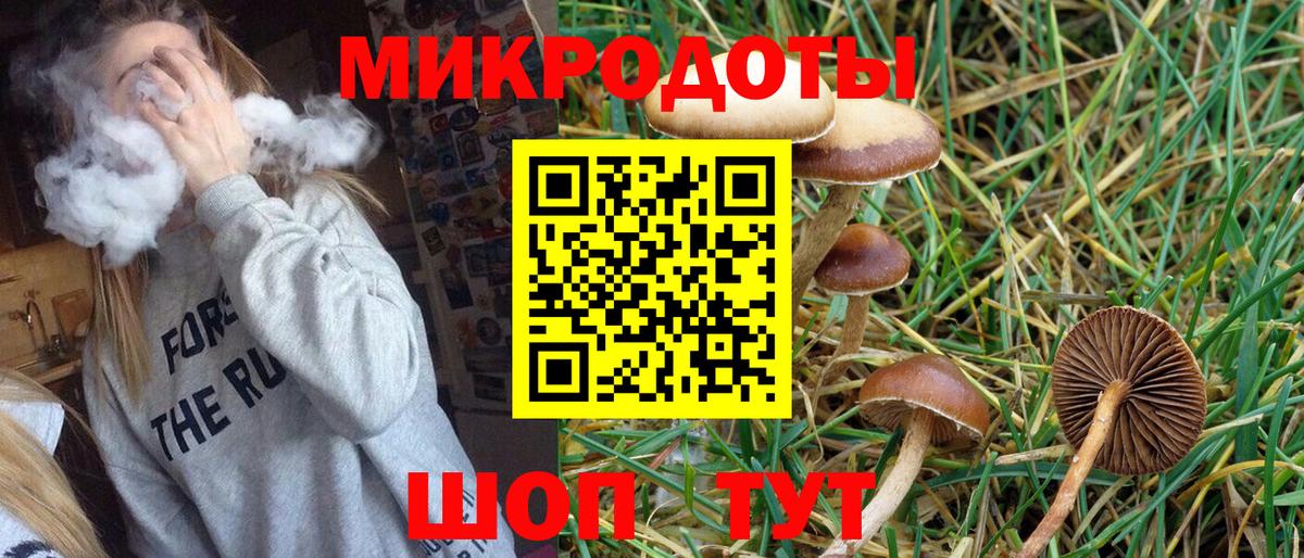 Псилоцибиновые грибы ЛСД  Галлюциногенные грибы MAGIC MUSHROOMS  Заводоуковск  Вход с VPN 